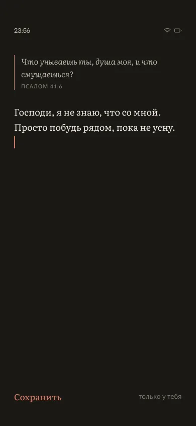 Ответ своими словами в режиме Тишина